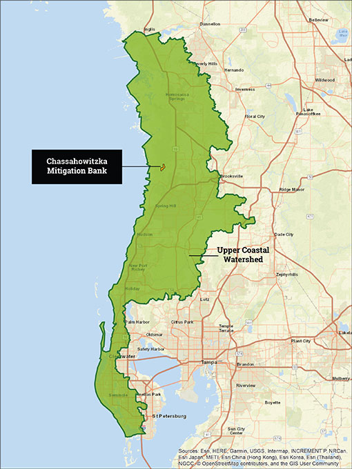 map of chassahowitzka location in the upper coastal watershed